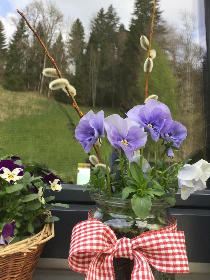 Apartment Nest Sibratsgfäll المظهر الخارجي الصورة